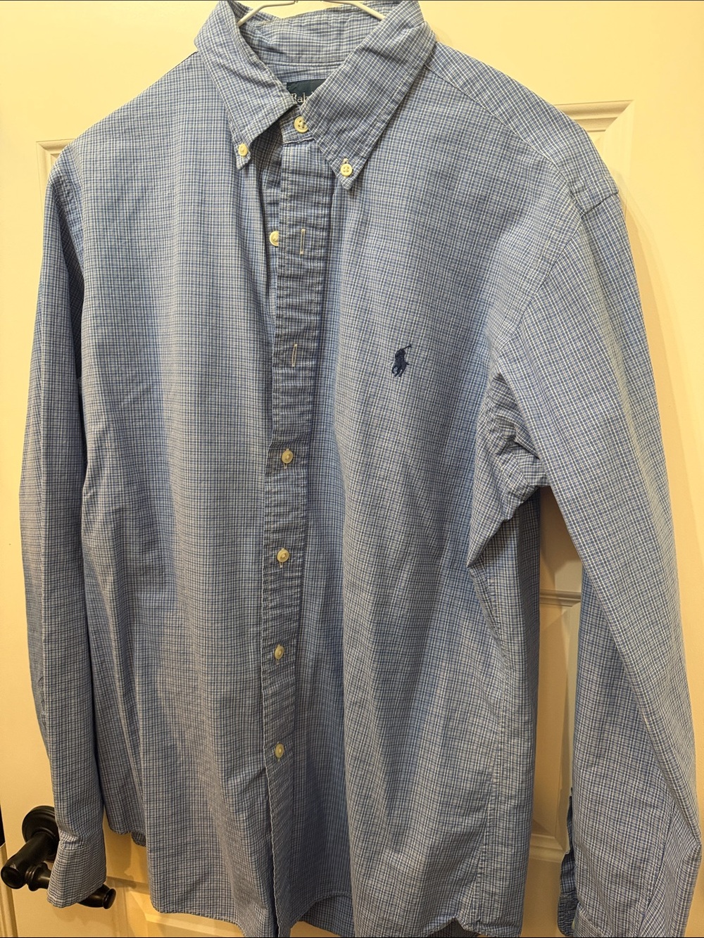 Polo by Ralph Lauren Light Blue Micro-Check Button-Down Shirt